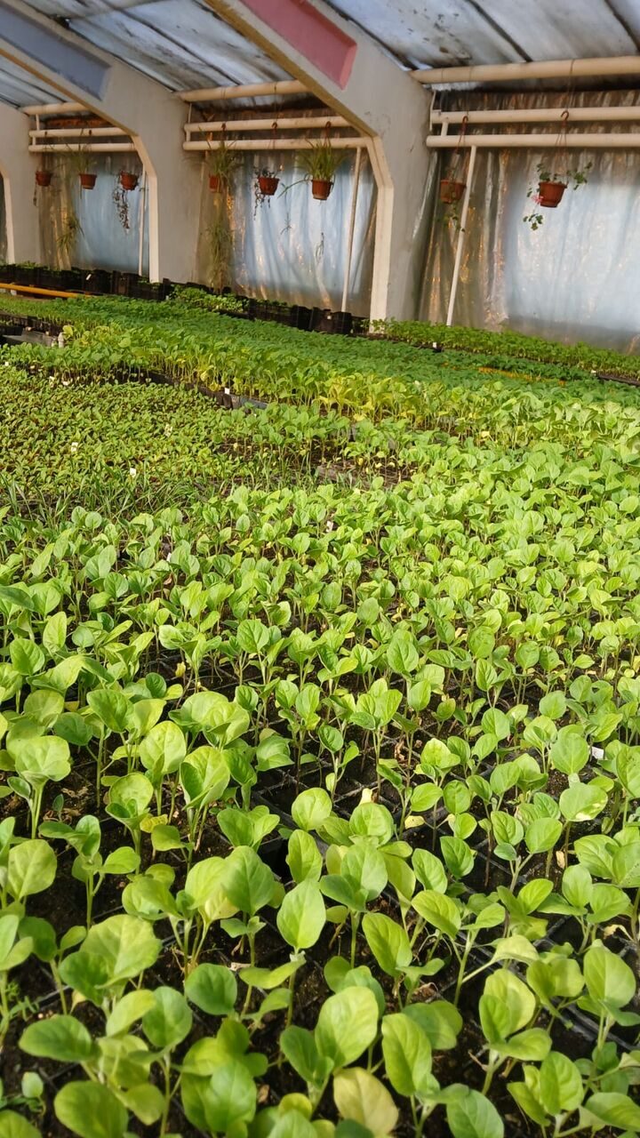 Изображение WhatsApp 2025-03-28 в 10.28.13_5a578c57